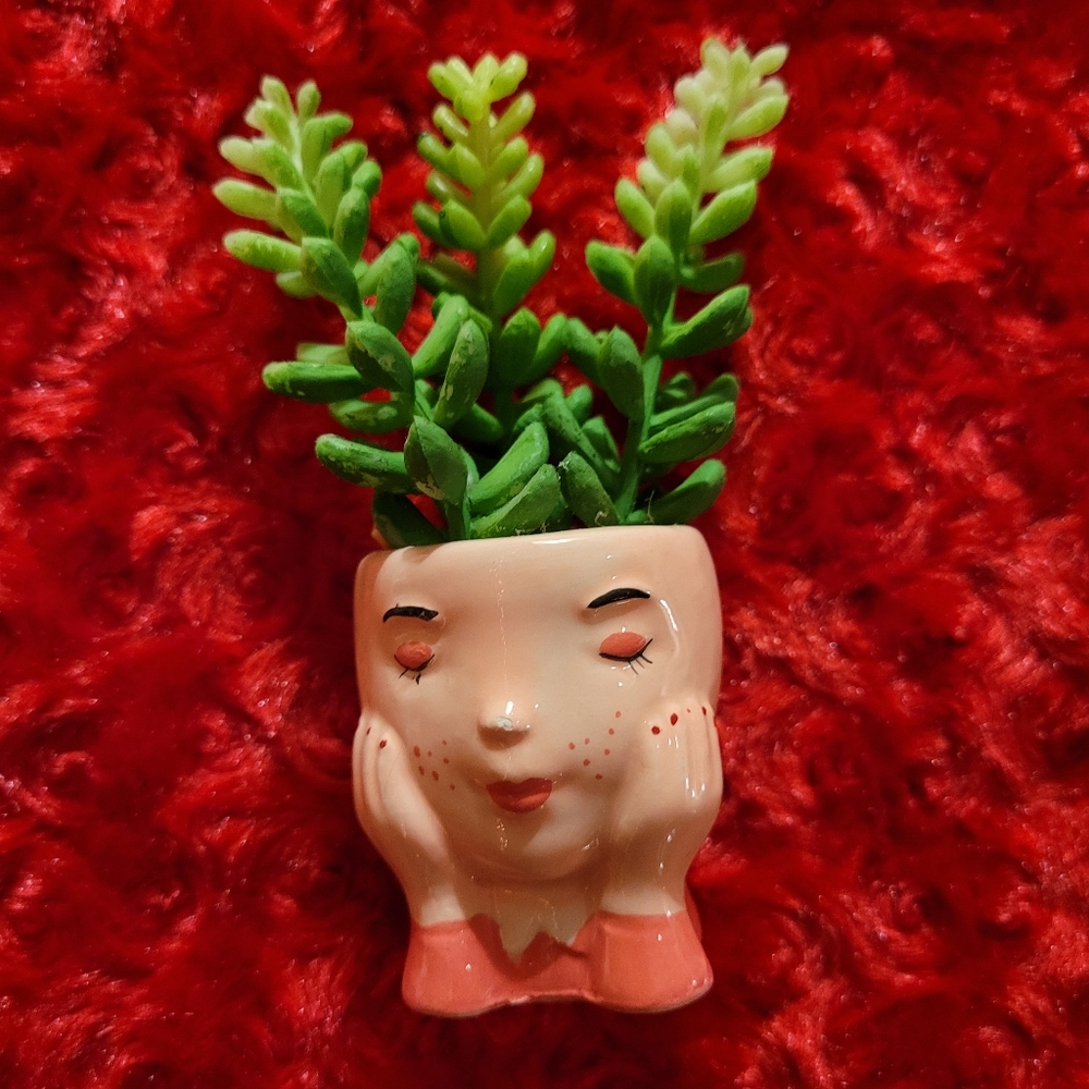 Kohl's Celebrate Together™ Valentine's Day Artificial Succulent Planter 3-pieces - Picture 8 of 16